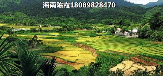 海口江軍苑