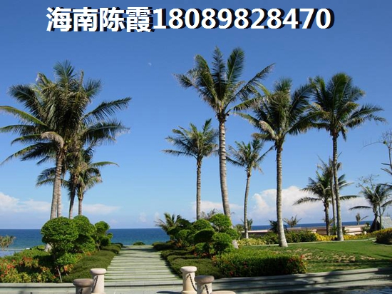世茂·怒放海房子漲價了嗎？