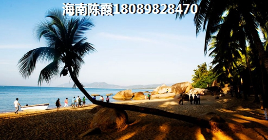 海南紫軒花苑2025能投資嗎（紫軒花苑投資優(yōu)勢(shì)分析）